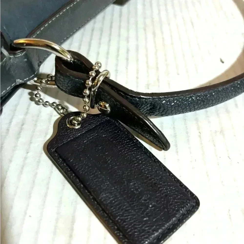 Coach pinnacle Eva lake navy blue leather leather shoulder handbag